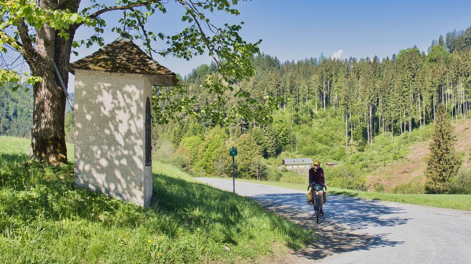Mountainbike Radpilgern von Bruck an der Mur über die Almen nach Mariazell - Touren-Impression #2.5