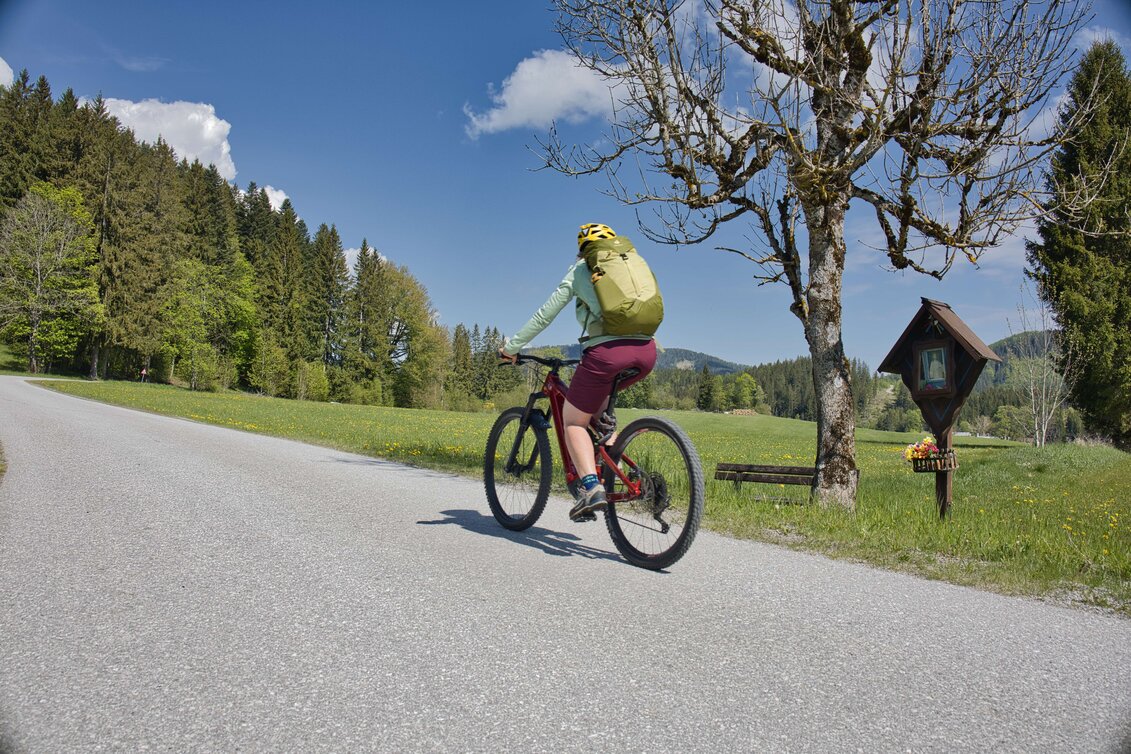 Mountain Biking Pilgrimage by bike from Bruck an der Mur to Mariazell  - Touren-Impression #1