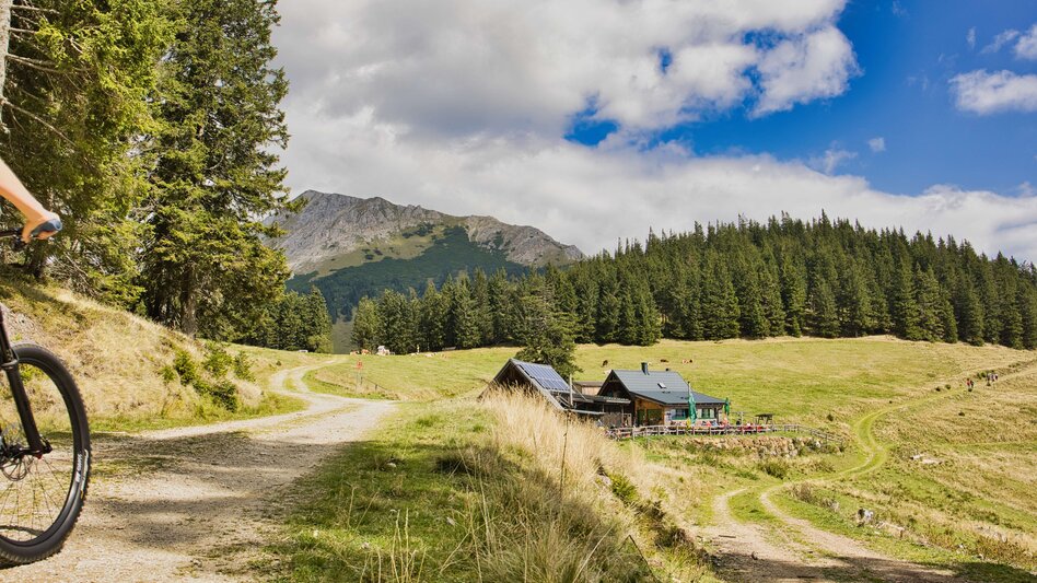 Mountain Biking Pilgrimage by bike from Bruck an der Mur to Mariazell  - Touren-Impression #2.5