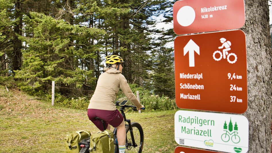 Mountain Biking Pilgrimage by bike from Bruck an der Mur to Mariazell  - Touren-Impression #2.6