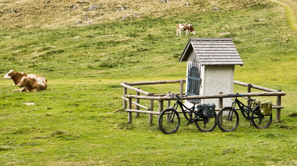 Mountain Biking Pilgrimage by bike from Bruck an der Mur to Mariazell  - Touren-Impression #2.7
