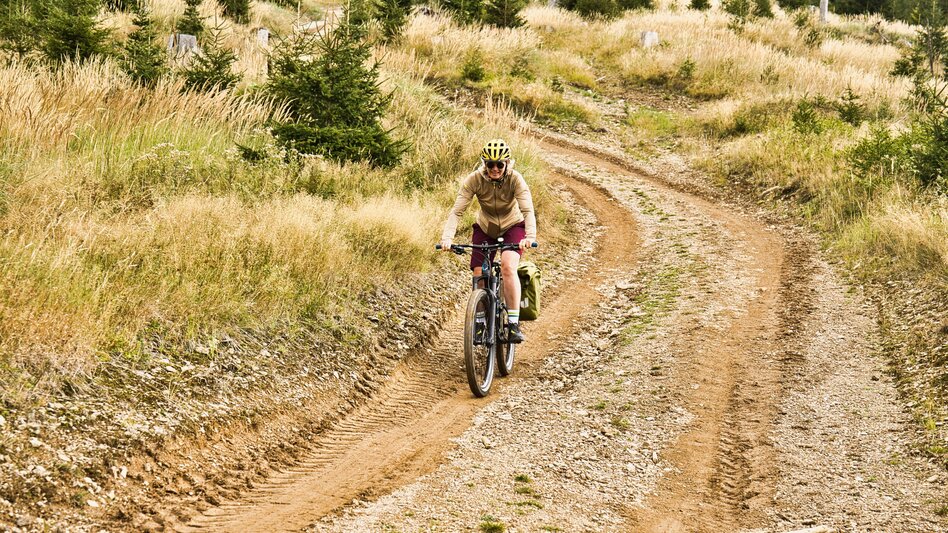 Mountain Biking Pilgrimage by bike from Bruck an der Mur to Mariazell  - Touren-Impression #2.8
