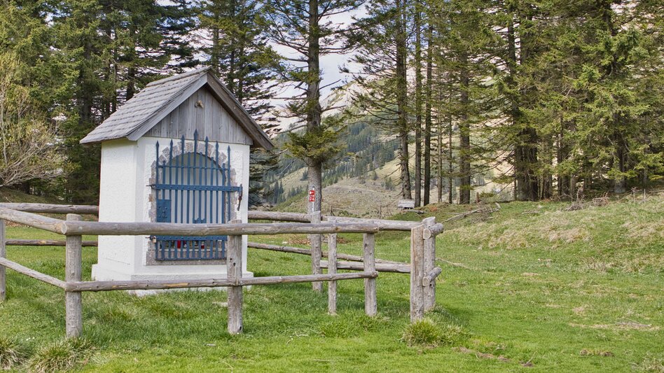 Mountainbike Radpilgern vom Roseggerhaus auf der Pretulalpe durch das Mürztal und über Almen nach Mariazell - Touren-Impression #2.6