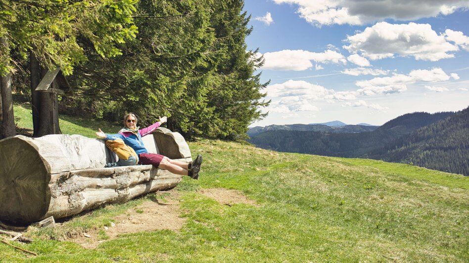 Mountainbike Radpilgern vom Roseggerhaus auf der Pretulalpe durch das Mürztal und über Almen nach Mariazell - Touren-Impression #2.7