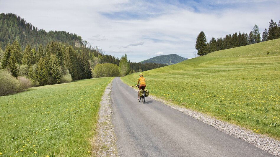 Mountainbike Radpilgern vom Roseggerhaus auf der Pretulalpe durch das Mürztal und über Almen nach Mariazell - Touren-Impression #2.9
