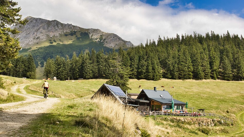 Mountain Biking Bike Pilgrimage: From the Roseggerhaus on the Pretulalpe to Mariazell via the Mürztal Valley and Alpine Pastures - Touren-Impression #2.1