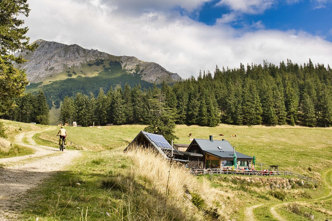 Mountain Biking Bike Pilgrimage: From the Roseggerhaus on the Pretulalpe to Mariazell via the Mürztal Valley and Alpine Pastures - Touren-Impression #1