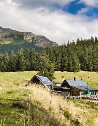 Rotsohlalm mit Blick auf die Hohe Veitsch | Weges OG