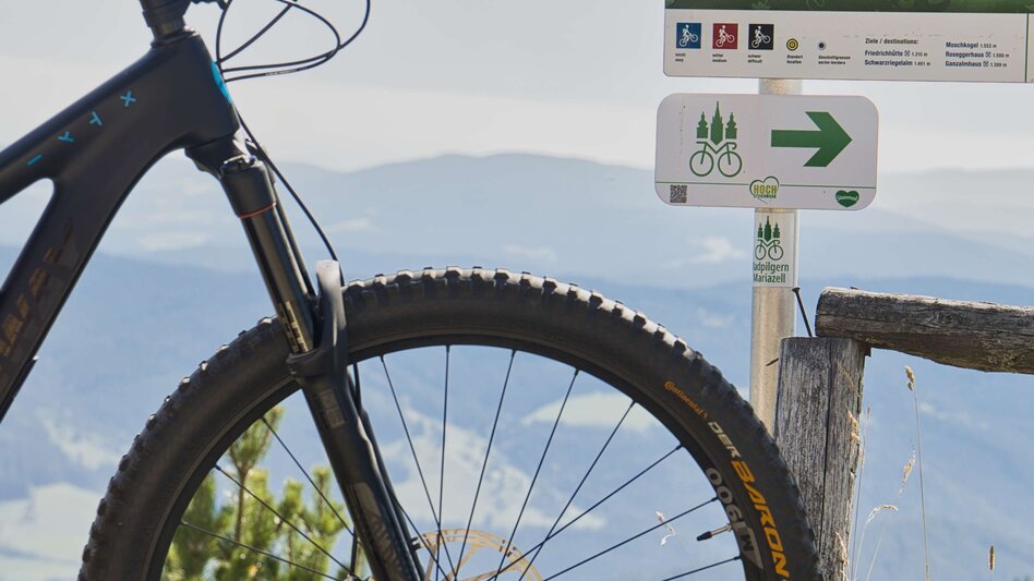 Mountain Biking Bike Pilgrimage: From the Roseggerhaus on the Pretulalpe to Mariazell via the Mürztal Valley and Alpine Pastures - Touren-Impression #2.2