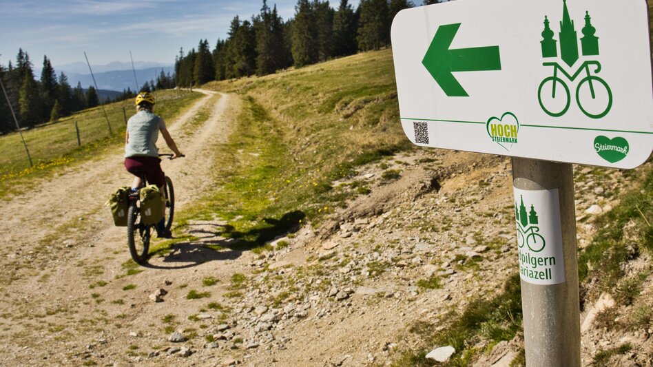 Mountain Biking Bike Pilgrimage: From the Roseggerhaus on the Pretulalpe to Mariazell via the Mürztal Valley and Alpine Pastures - Touren-Impression #2.3