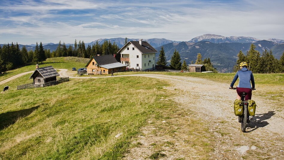 Mountain Biking Bike Pilgrimage: From the Roseggerhaus on the Pretulalpe to Mariazell via the Mürztal Valley and Alpine Pastures - Touren-Impression #2.5