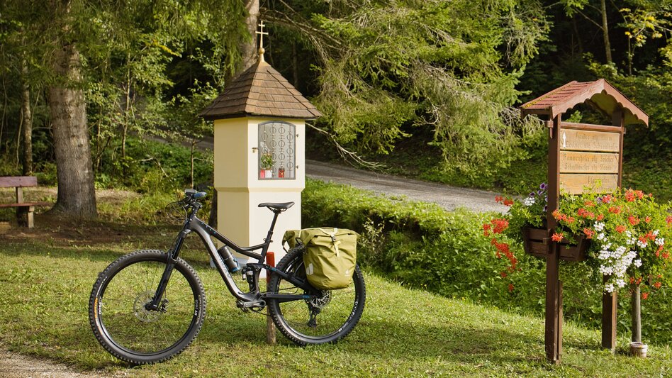 Mountain Biking Bike Pilgrimage: From the Roseggerhaus on the Pretulalpe to Mariazell via the Mürztal Valley and Alpine Pastures - Touren-Impression #2.8
