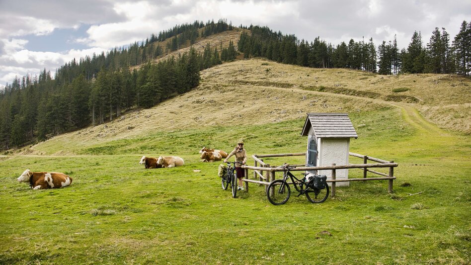 Mountain Biking Bike Pilgrimage: From the Roseggerhaus on the Pretulalpe to Mariazell via the Mürztal Valley and Alpine Pastures - Touren-Impression #2.9