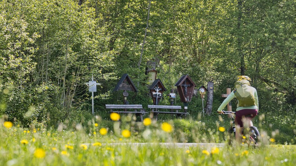 Mountain Biking Bike Pilgrimage: From the Roseggerhaus on the Pretulalpe to Mariazell via the Mürztal Valley and Alpine Pastures - Touren-Impression #2.12