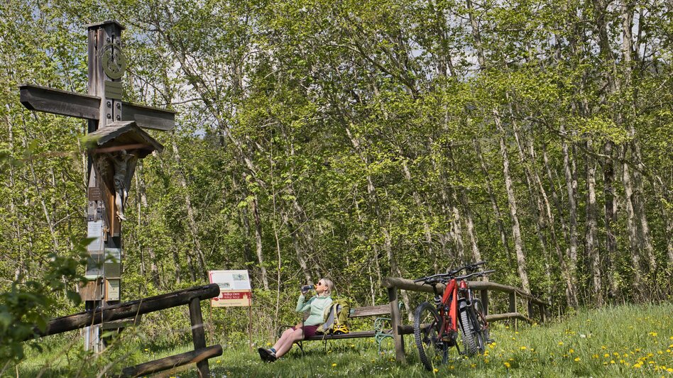 Mountain Biking Bike Pilgrimage: From the Roseggerhaus on the Pretulalpe to Mariazell via the Mürztal Valley and Alpine Pastures - Touren-Impression #2.13