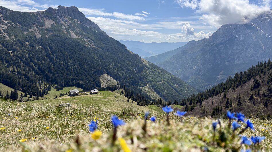 Mountain Hike Hochstein - Touren-Impression #2.3 | © TVB Erzberg-Leoben