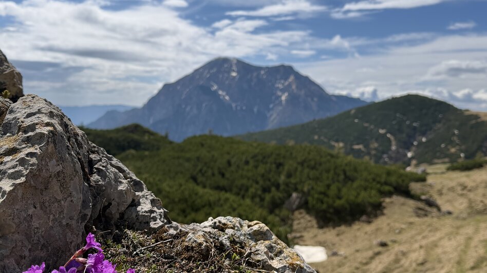 Mountain Hike Hochstein - Touren-Impression #2.6 | © TVB Erzberg-Leoben