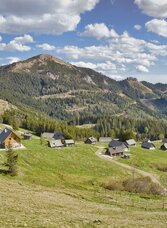 Die Turnauer Alm im Hintergrund der Rauschkogel | Weges OG