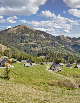 Die Turnauer Alm im Hintergrund der Rauschkogel | Weges OG