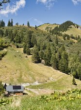 Blick auf die Rauschalm und Rauschkogel | Weges