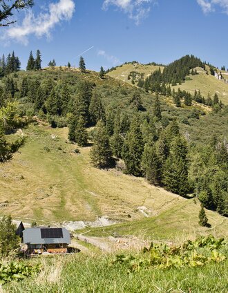 Blick auf die Rauschalm und Rauschkogel | Weges