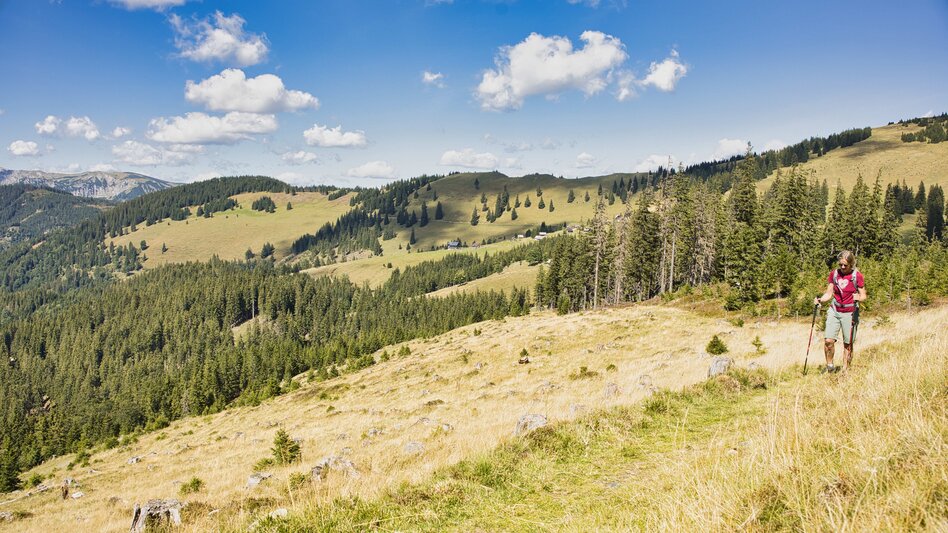 Bike & Hike From Kapfenberg via Turnau to Turnaueralm and Hike to Rauschalm - Touren-Impression #2.10