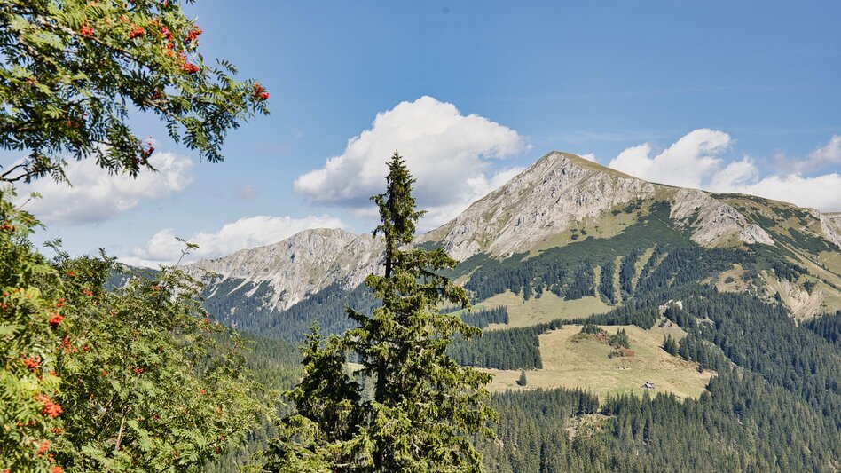 Bike & Hike From Kapfenberg via Turnau to Turnaueralm and Hike to Rauschalm - Touren-Impression #2.11