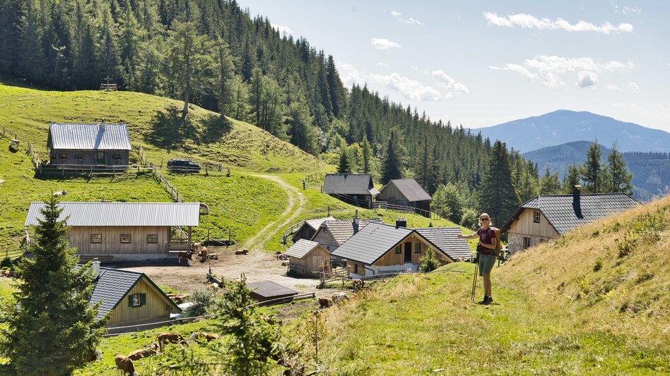 Bike & Hike From Kapfenberg via Turnau to Turnaueralm and Hike to Rauschalm - Touren-Impression #2.12