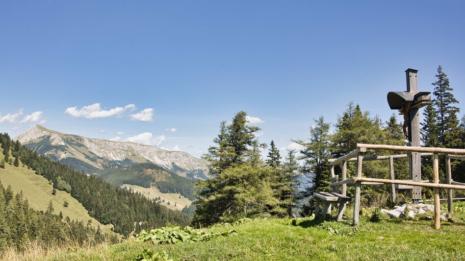 Bike & Hike From Kapfenberg via Turnau to Turnaueralm and Hike to Rauschalm - Touren-Impression #2.13