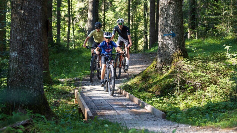 Mountainbike S551 Familientrail: Rätselrallye der Grimming Bande - Touren-Impression #2.7