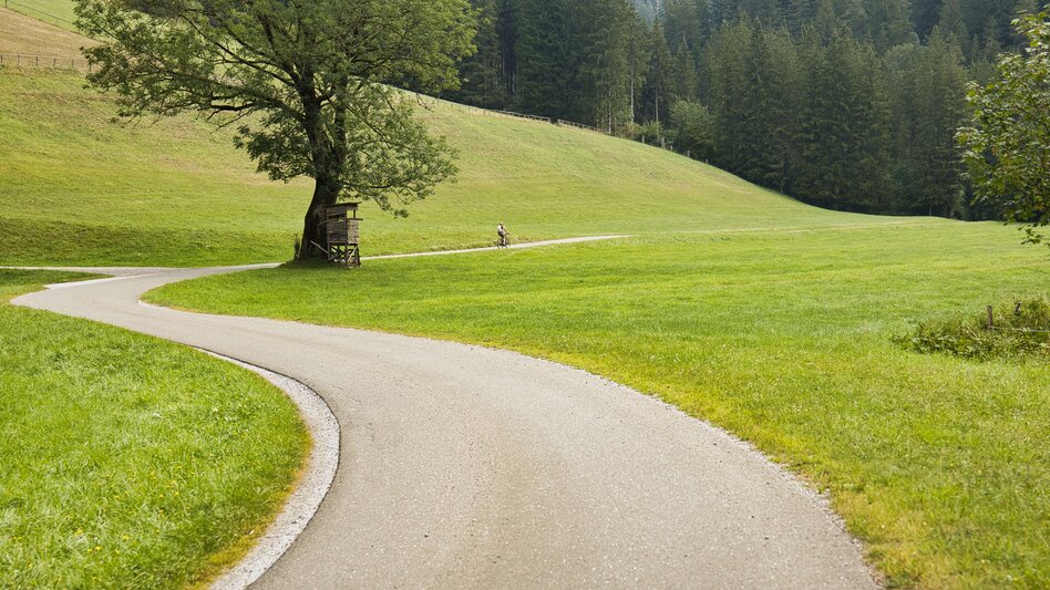 Radfahren Von der Stadt aufs Land: Graveln von Bruck über Turnau und den Pretalsattel ins Mürztal - Touren-Impression #2.5