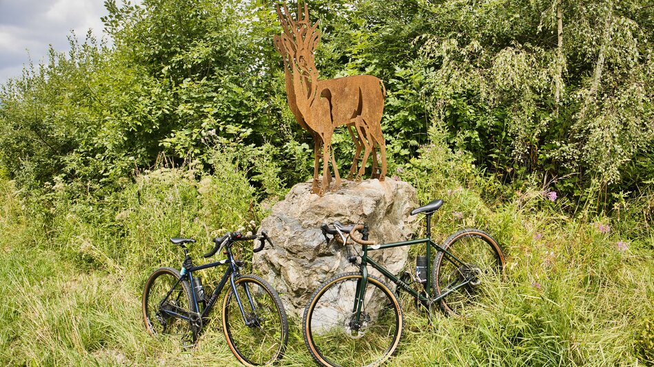 Radfahren Von der Stadt aufs Land: Graveln von Bruck über Turnau und den Pretalsattel ins Mürztal - Touren-Impression #2.6