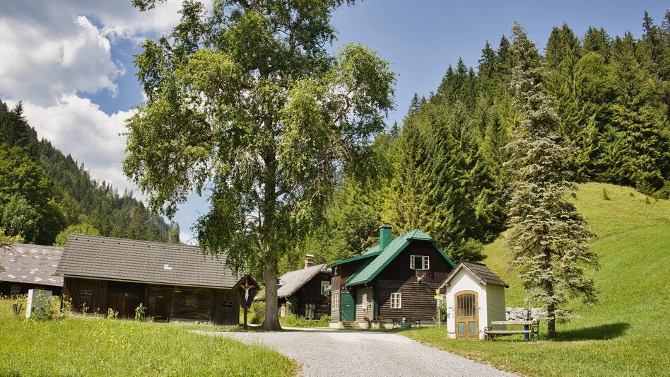Radfahren Museen, Münster & Almen – Graveln von Mürzzuschlag über Neuberg an der Mürz auf die Dürrieglalm - Touren-Impression #2.11