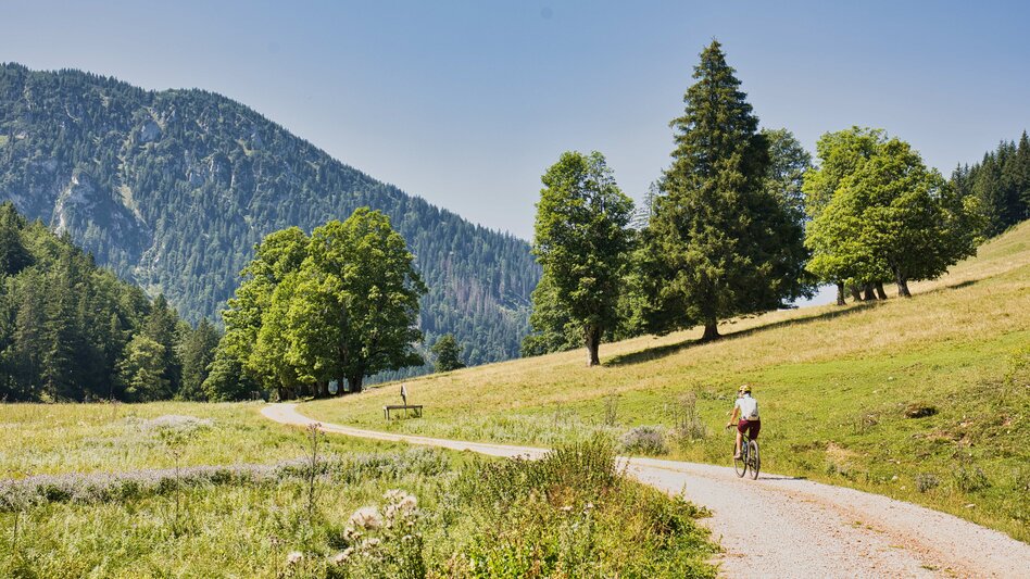 Radfahren Museen, Münster & Almen – Graveln von Mürzzuschlag über Neuberg an der Mürz auf die Dürrieglalm - Touren-Impression #2.7