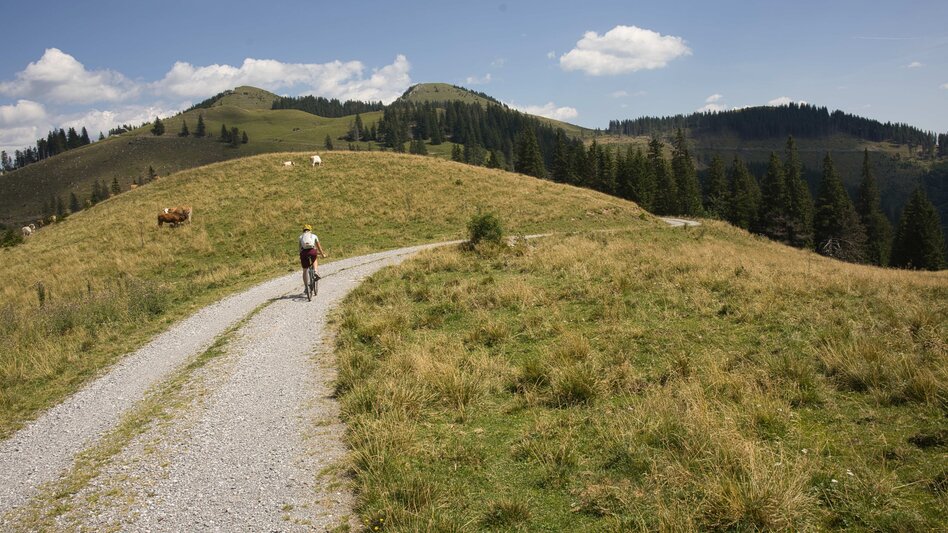 Radfahren Museen, Münster & Almen – Graveln von Mürzzuschlag über Neuberg an der Mürz auf die Dürrieglalm - Touren-Impression #2.10