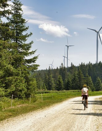 Windpark  | Weges OG