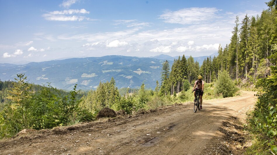 Radfahren Von Stadt zu Stadt – Graveln von Mürzzuschlag über die Fischbacher Alpen nach Bruck an der Mur - Touren-Impression #2.6