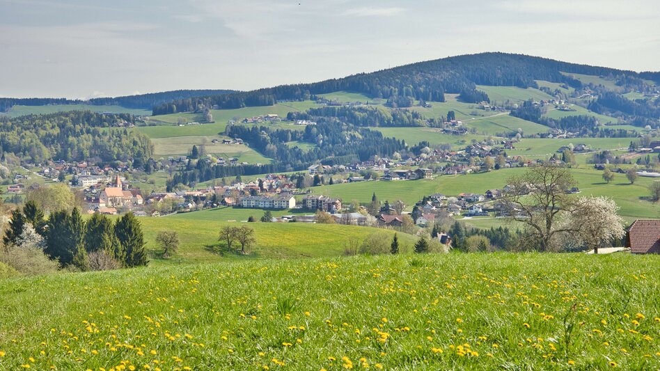 Wanderung Von Friesach nach Semriach - Touren-Impression #2.2
