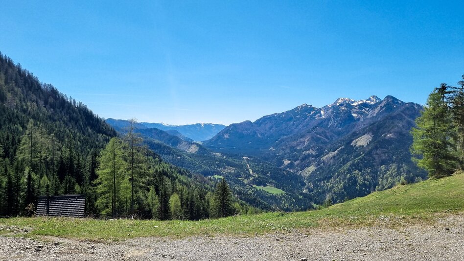 Mountainbike Schwarzsattel-Runde - Touren-Impression #2.1 | © Barbara Pirringer