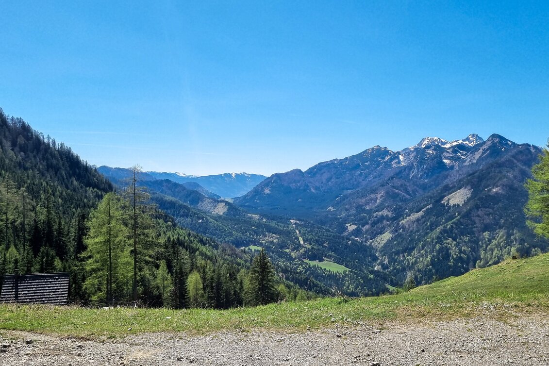 Mountainbike Schwarzsattel-Runde - Touren-Impression #1 | © Barbara Pirringer