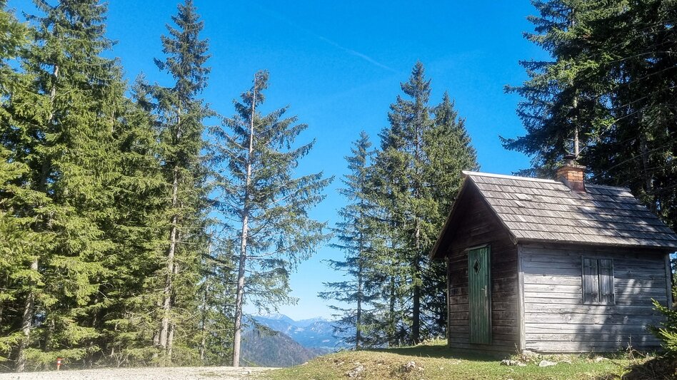 Mountainbike Schwarzsattel-Runde - Touren-Impression #2.2 | © Barbara Pirringer
