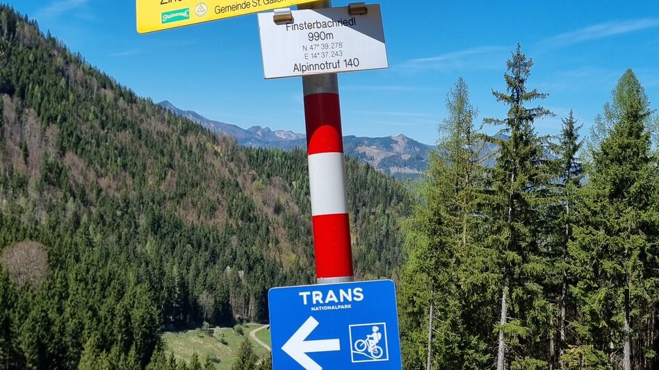 Mountainbike Schwarzsattel-Runde - Touren-Impression #2.4 | © Barbara Pirringer