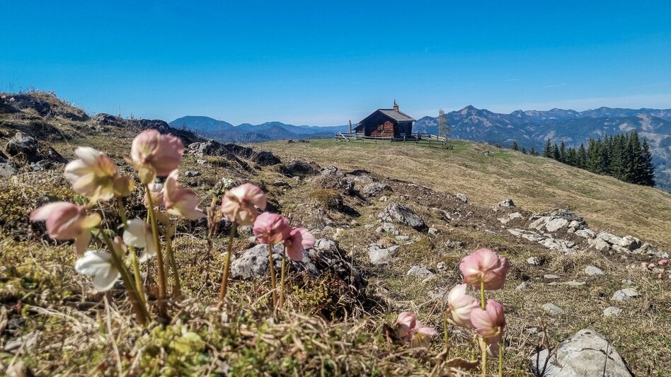 Mountainbike Schwarzsattel-Runde - Touren-Impression #2.5 | © Barbara Pirringer