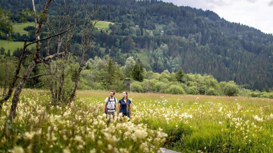 Walking Path Hörfeld Moor Walk - Touren-Impression #2.1 | © Tourismusverband Murau