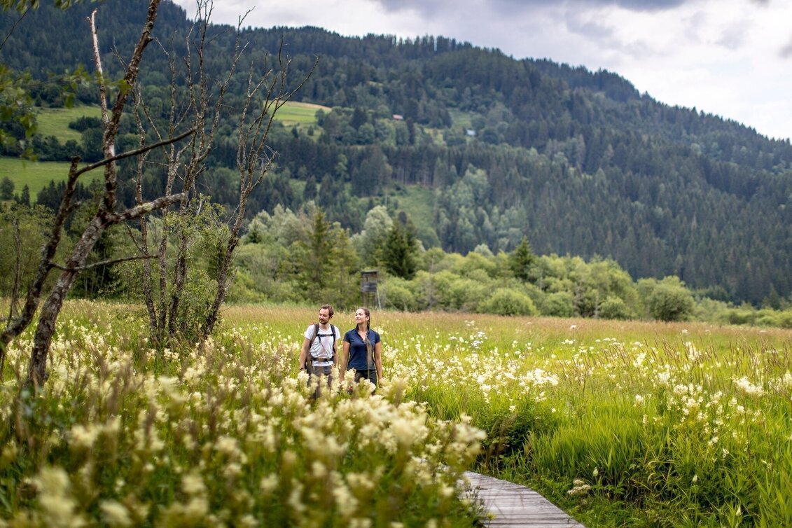 Walking Path Hörfeld Moor Walk - Touren-Impression #1 | © Tourismusverband Murau