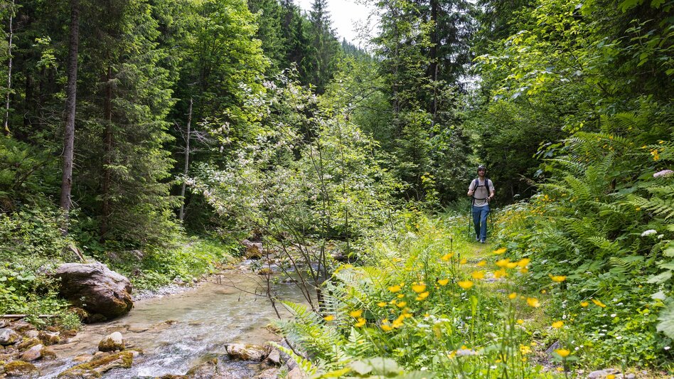 Hiking Route Grahsteg-Mandlberg-Runde - Touren-Impression #2.2