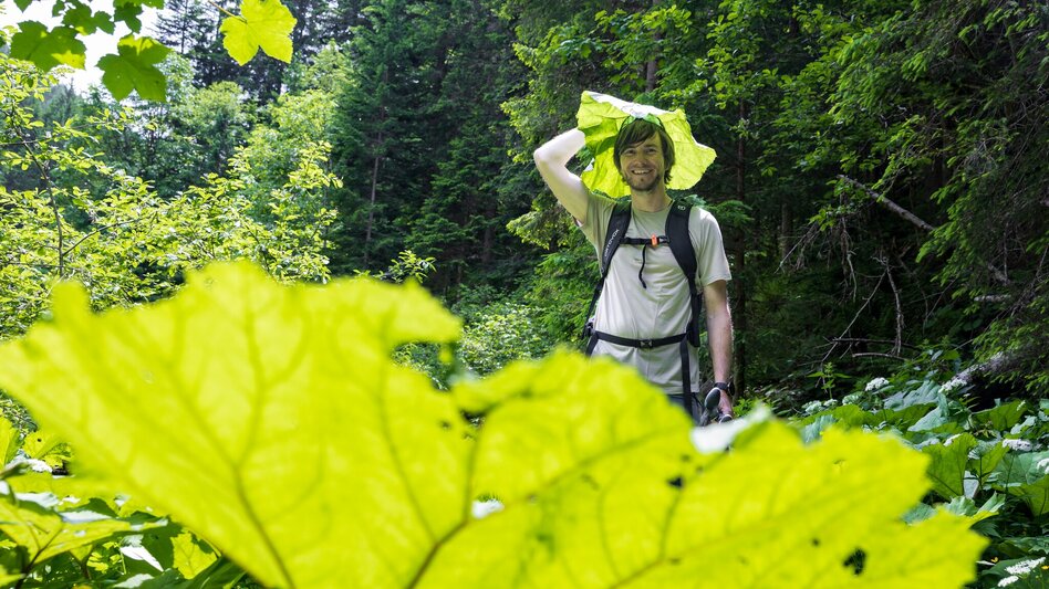 Hiking Route Grahsteg-Mandlberg-Runde - Touren-Impression #2.6