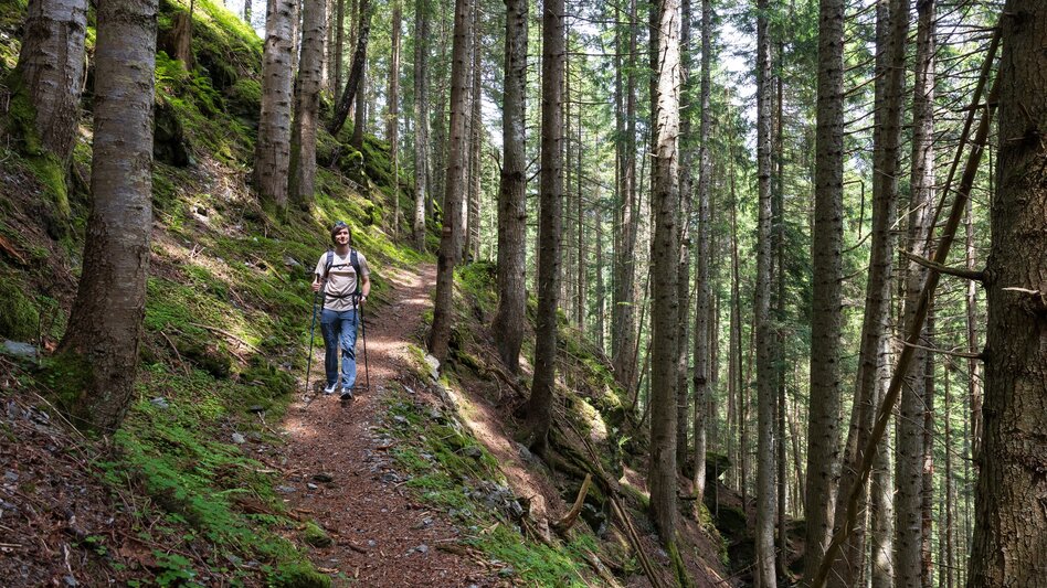 Hiking Route Grahsteg-Mandlberg-Runde - Touren-Impression #2.9