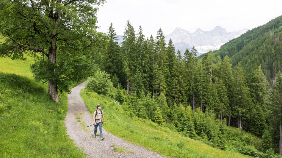 Hiking Route Grahsteg-Mandlberg-Runde - Touren-Impression #2.10