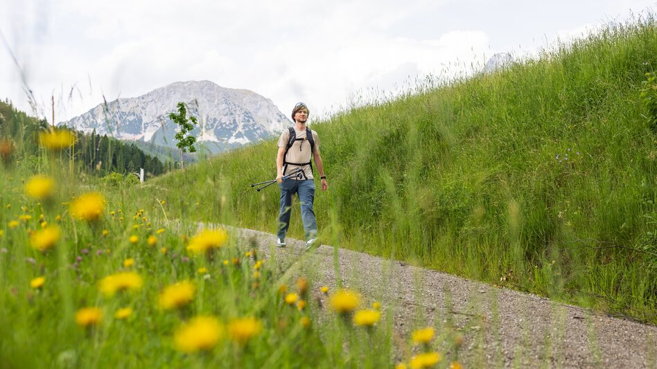 Hiking Route Grahsteg-Mandlberg-Runde - Touren-Impression #2.11